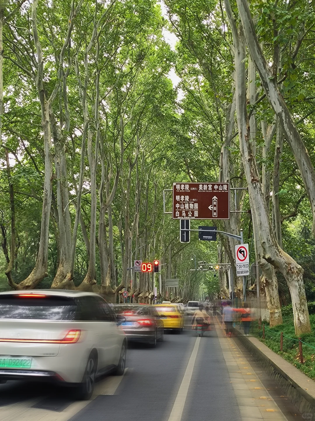 📍南京旅游🎶 🕊️|朋友圈文案