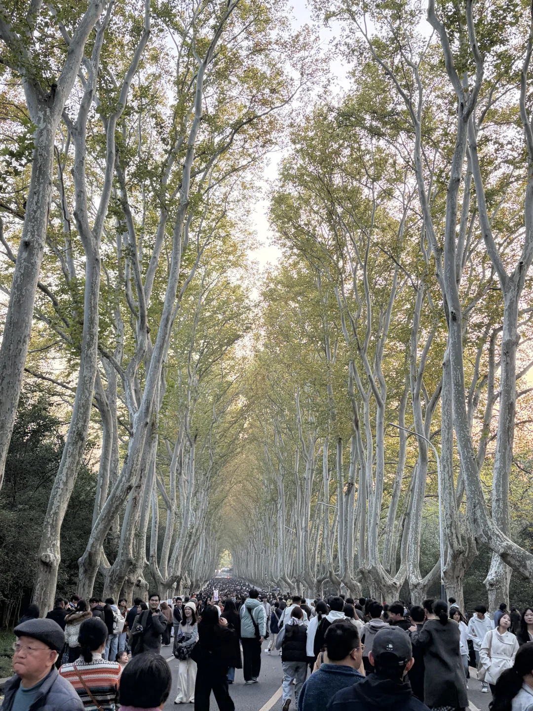 南京是去了2亿人吗