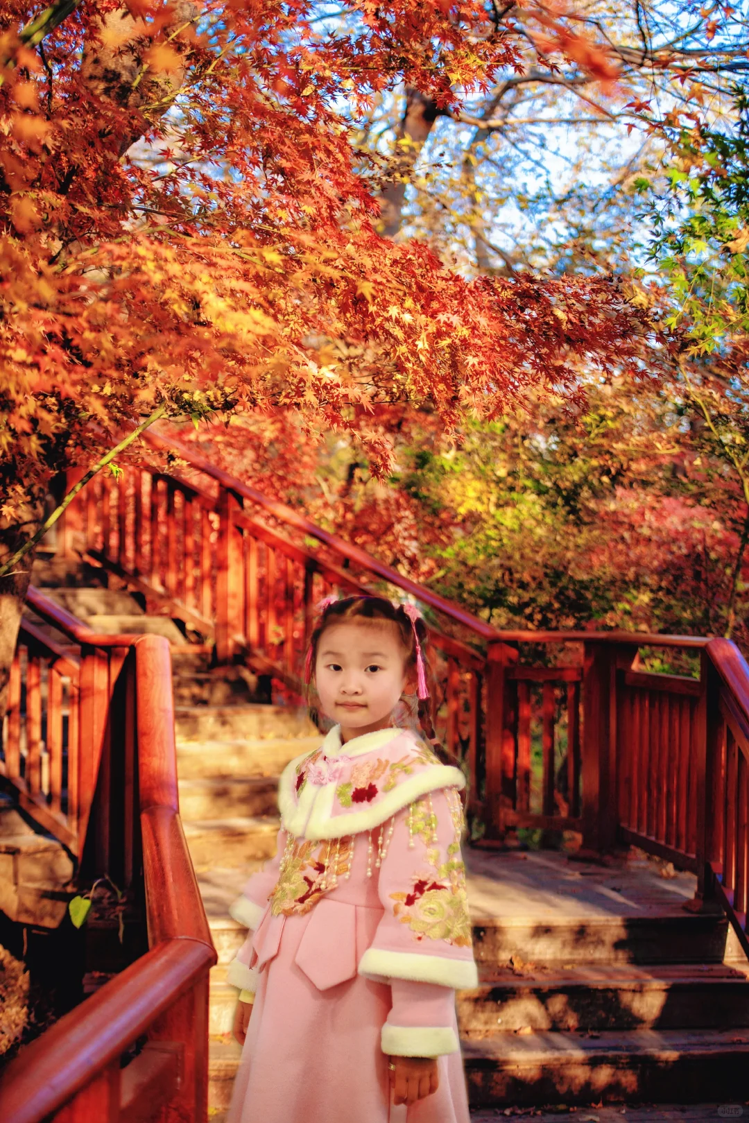 ❤️12.6实拍｜南京栖霞山赏枫进行时