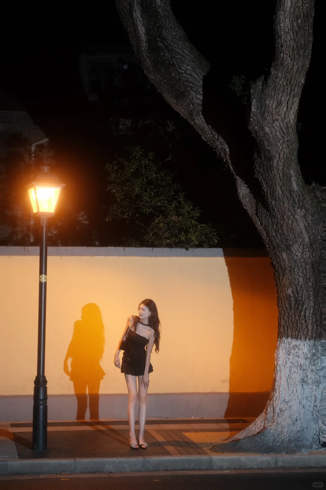 南京颐和路📷太好看啦