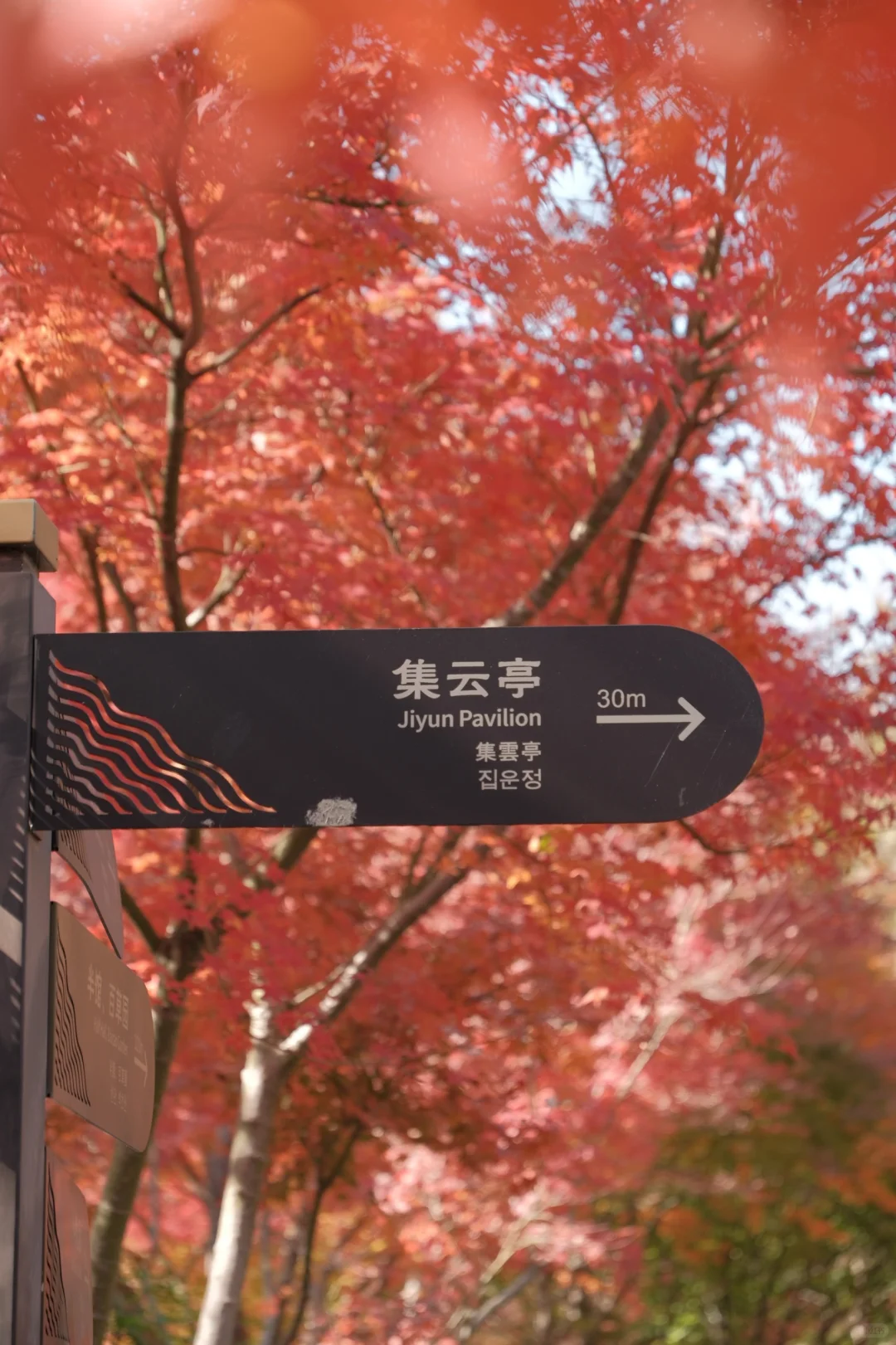 杭州周末往返南京 悠闲版