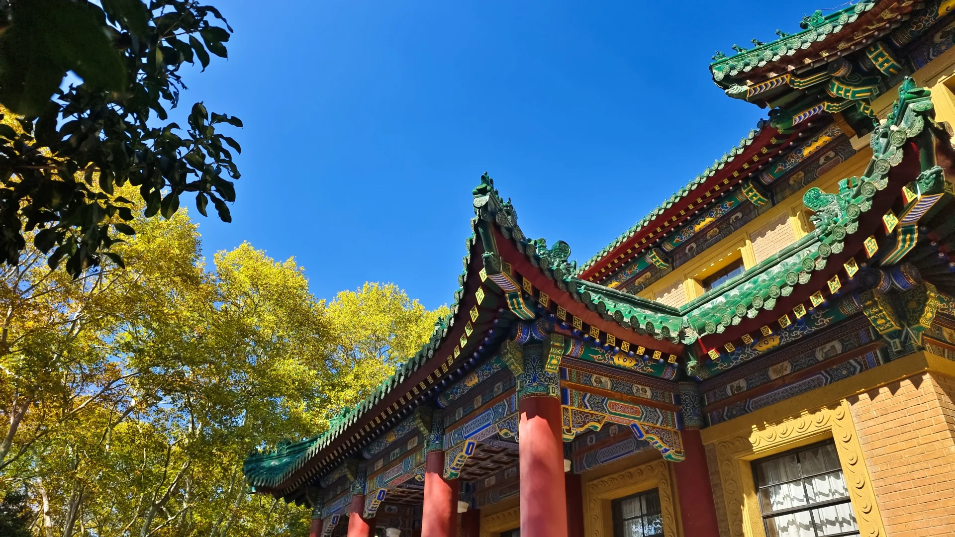 南京，美的滴尿！