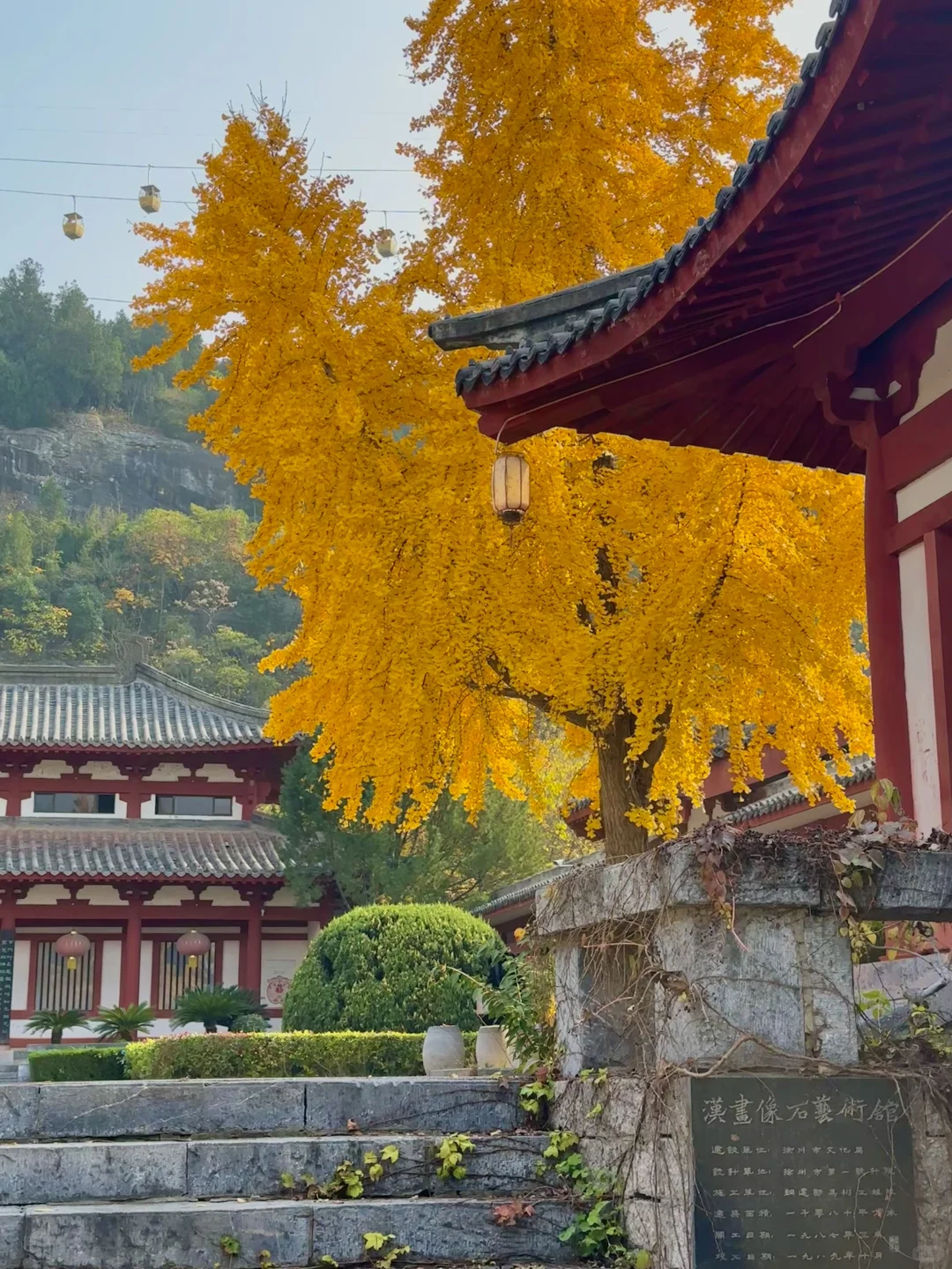 一个普通游客眼里的徐州（青岛出发🚄周末游）