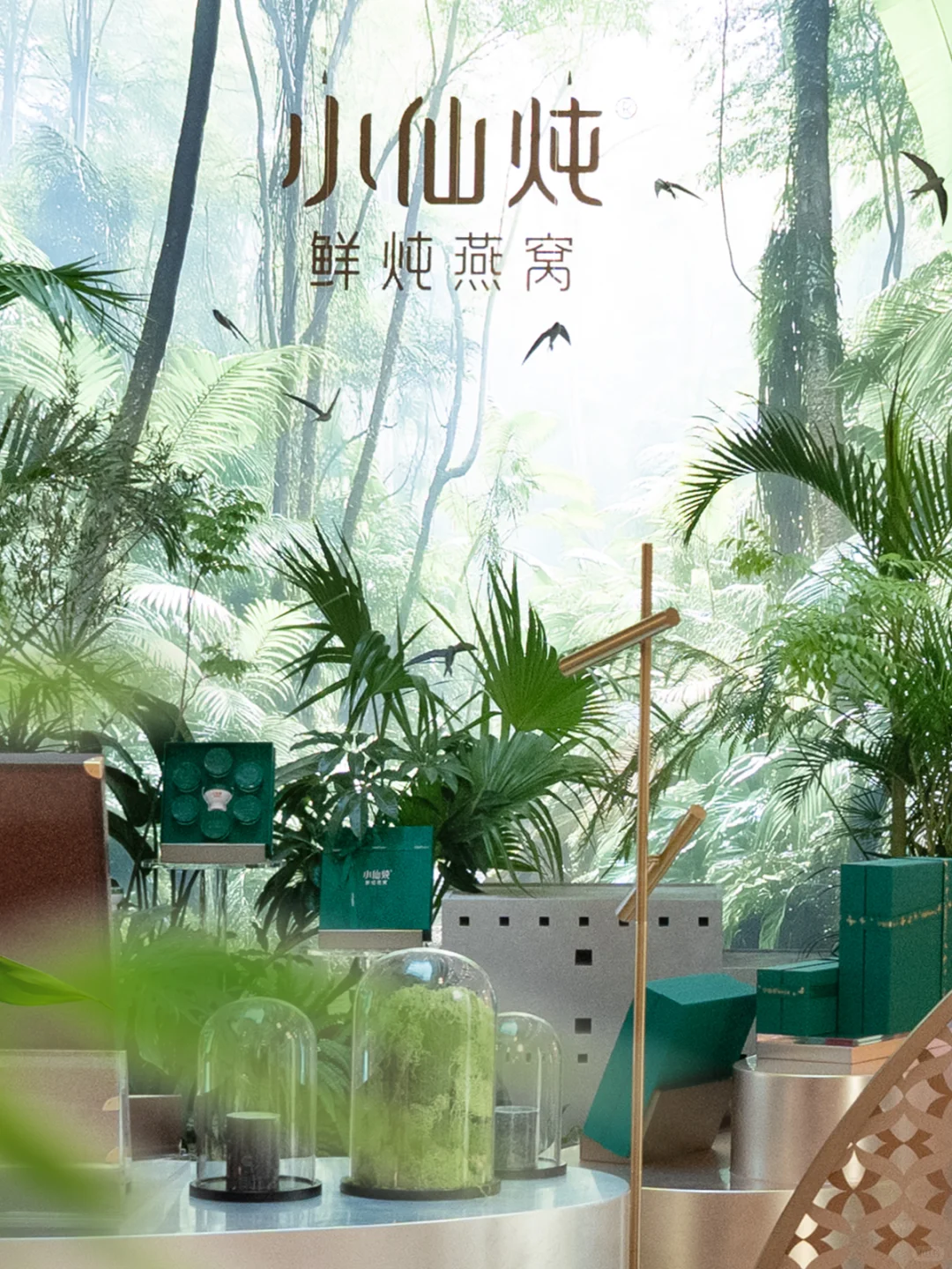 小仙炖「雨林珍宝」全球首展来南京啦🌿