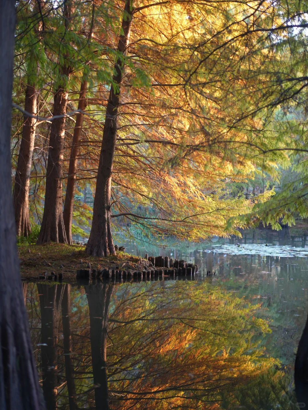 在南京5年去过最惊艳的地方