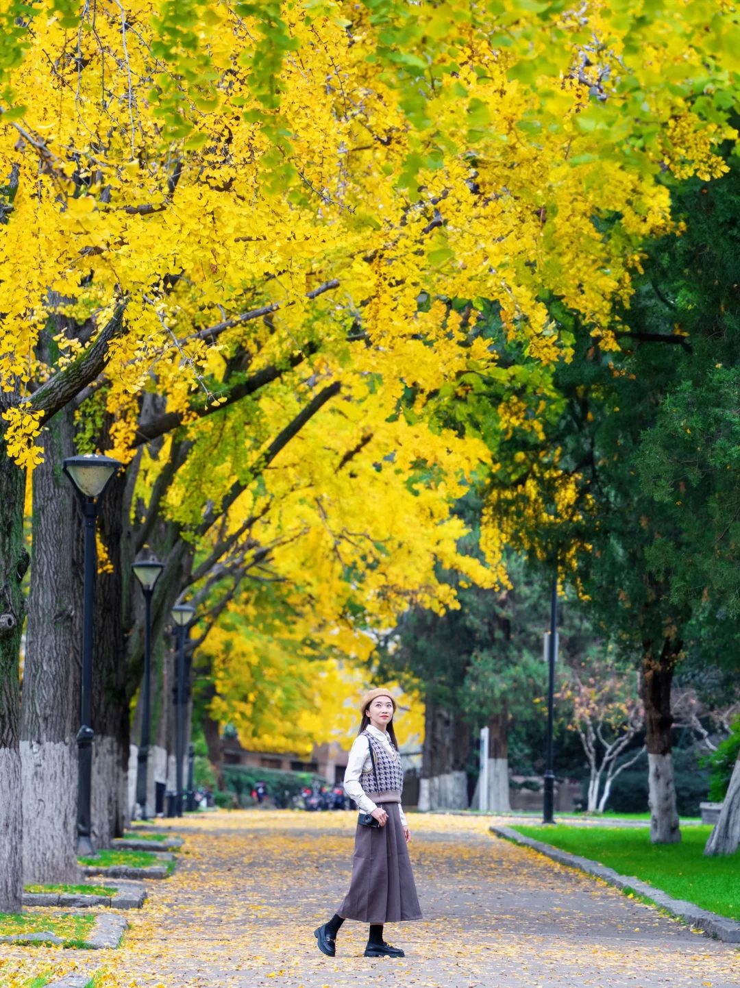 我宣布‼️没有一个城市比南京更懂秋天😭