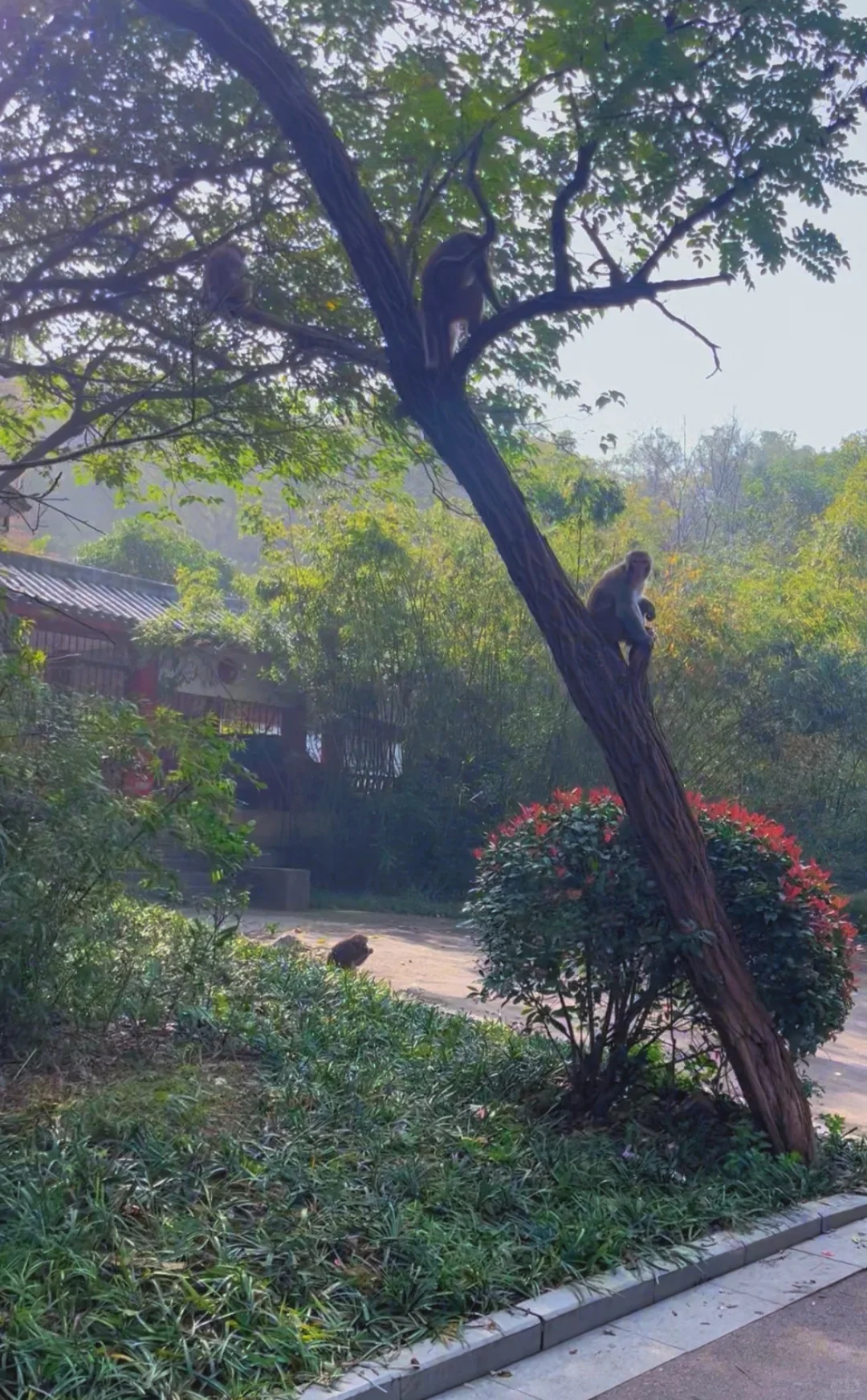 徐州户外徒步遛娃