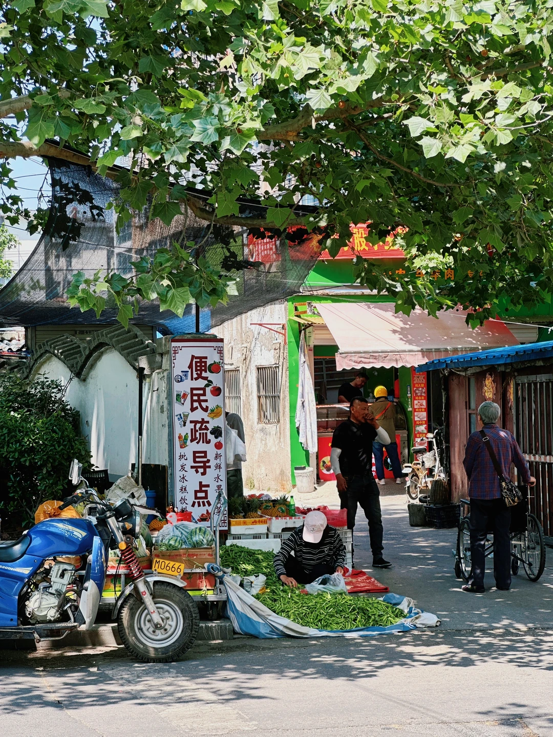 评论区说这是徐州最舒服的街道？