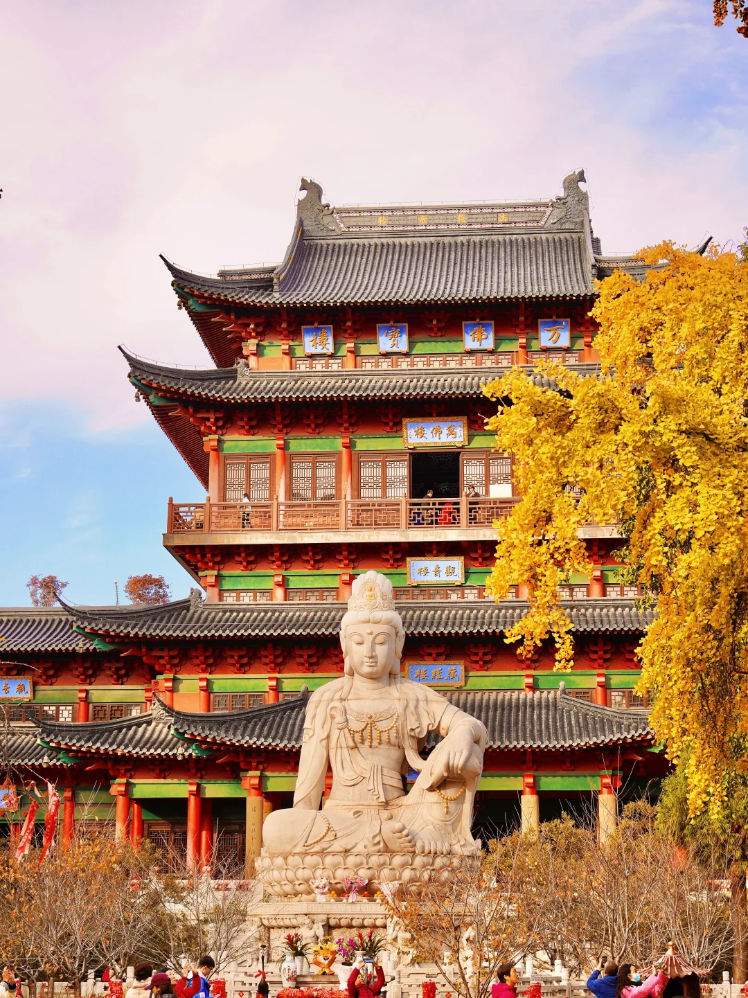 南京秋日封神‼️1️⃣8️⃣个出片机位朋友圈赞爆