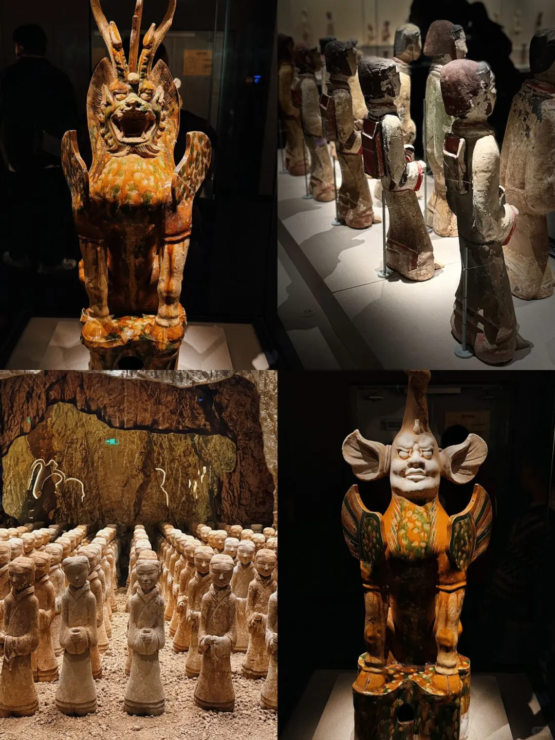 徐州博物馆正式入驻小红书啦！！！