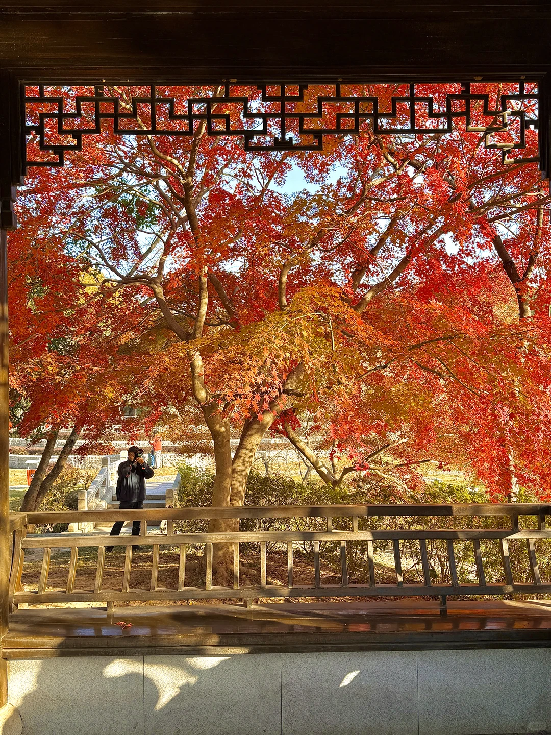 为了这1️⃣8️⃣张图，我特意秋天来了趟南京🍂