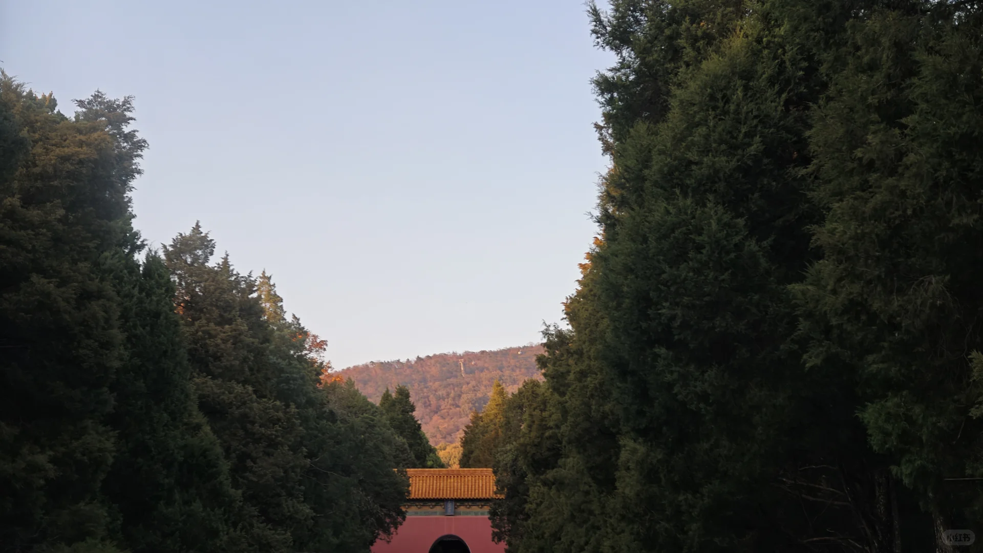 南京，美的滴尿！