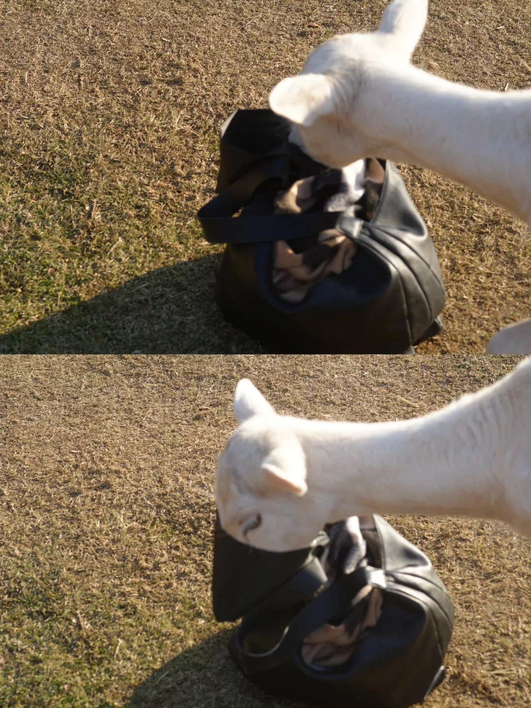 在南京5年去过最惊艳的地方