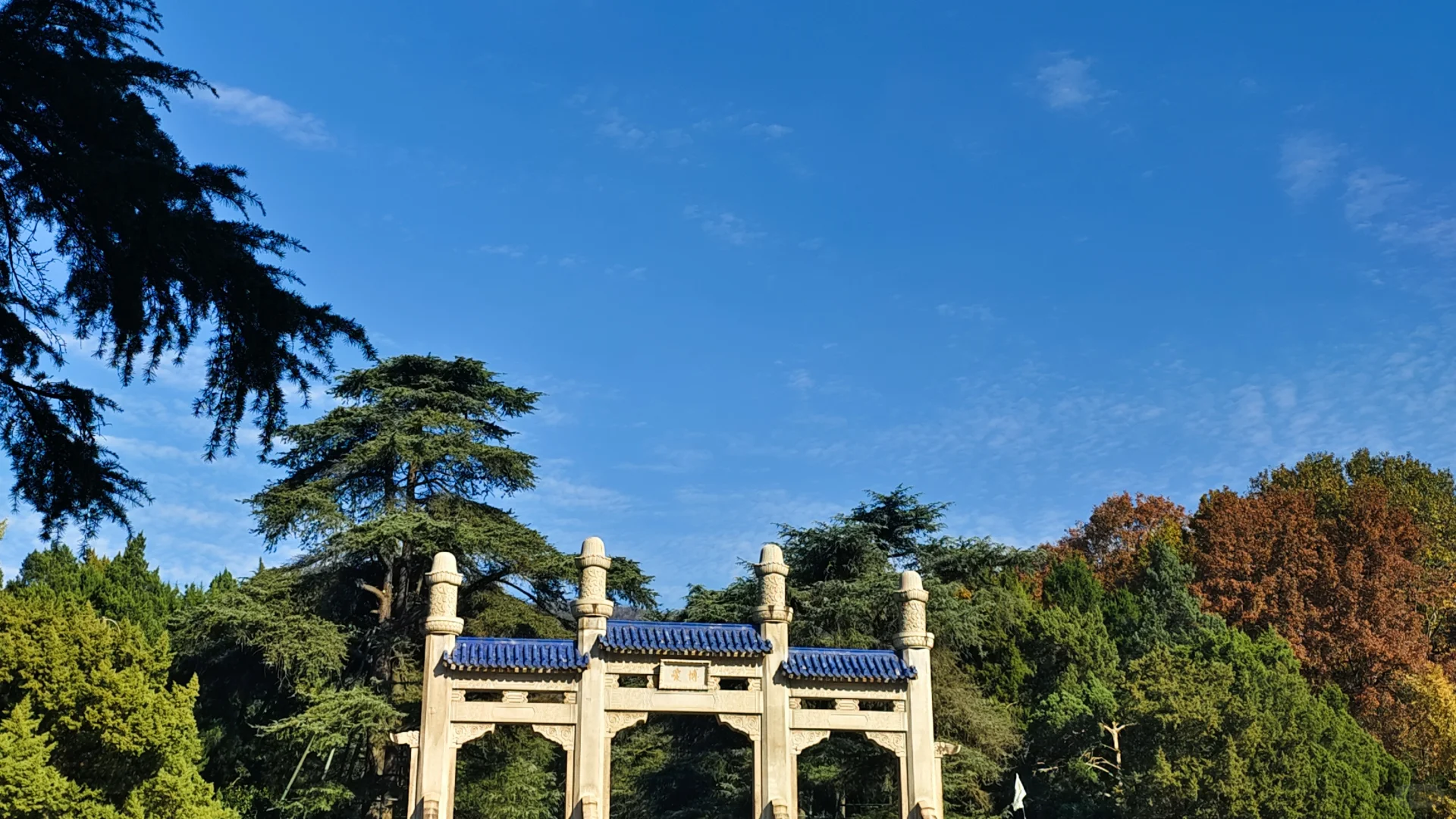 南京，美的滴尿！