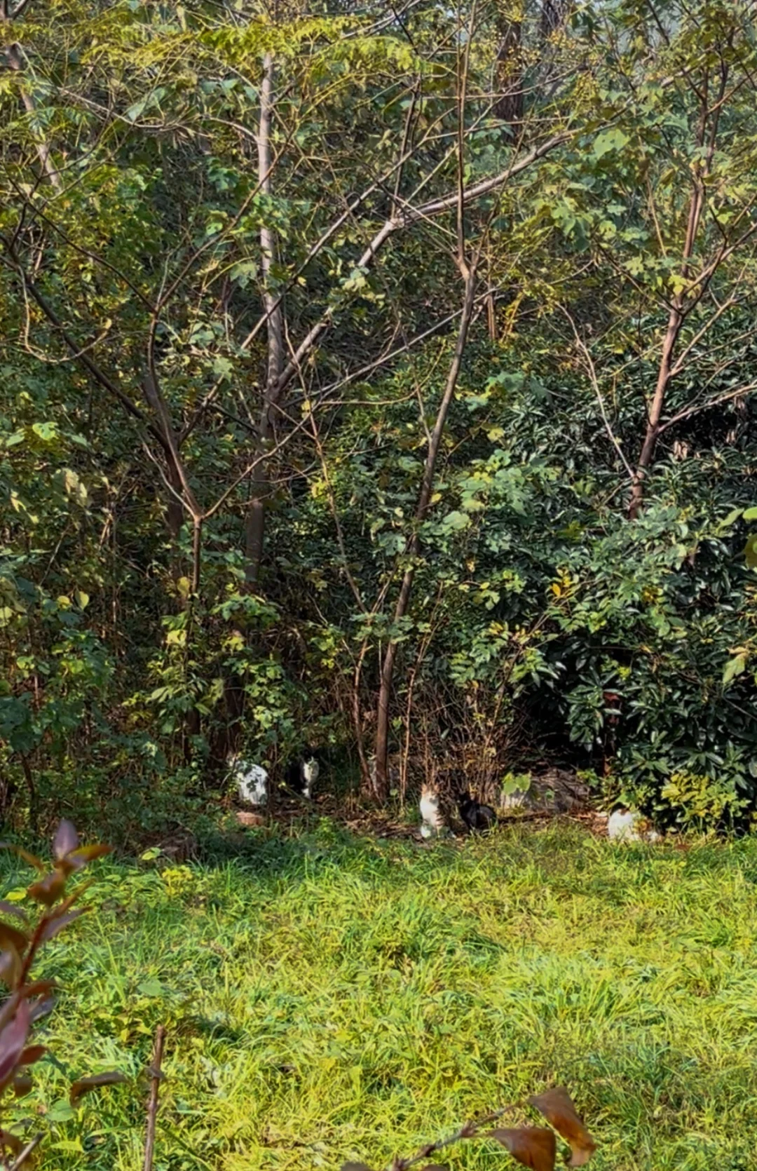 徐州户外徒步遛娃