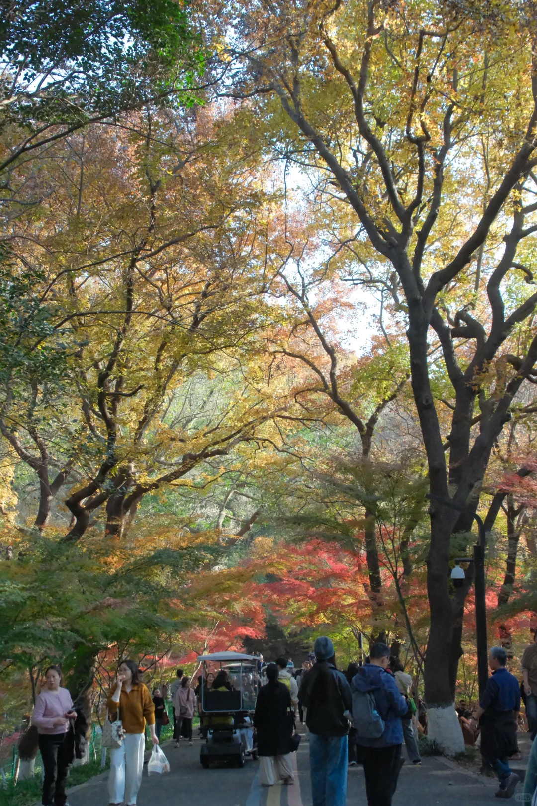 杭州周末往返南京 悠闲版