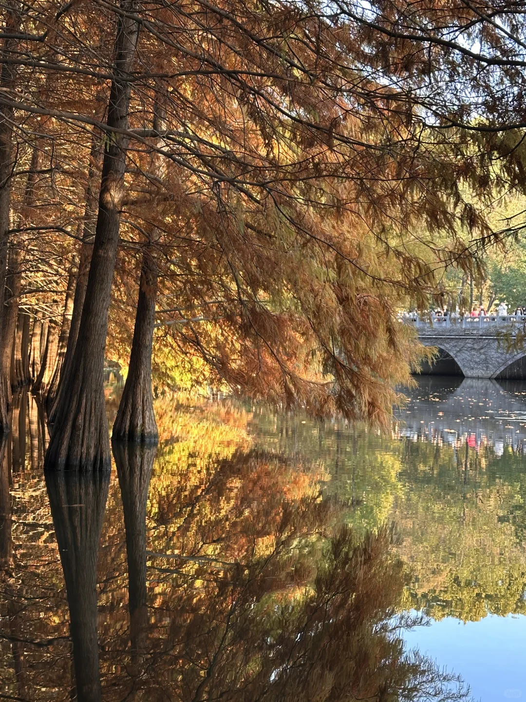 在南京5年去过最惊艳的地方