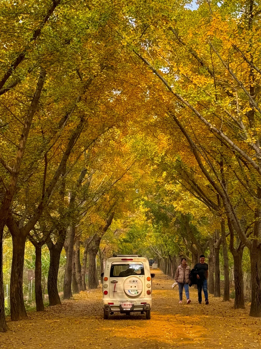 徐州的秋天🍂真的美疯了！！！