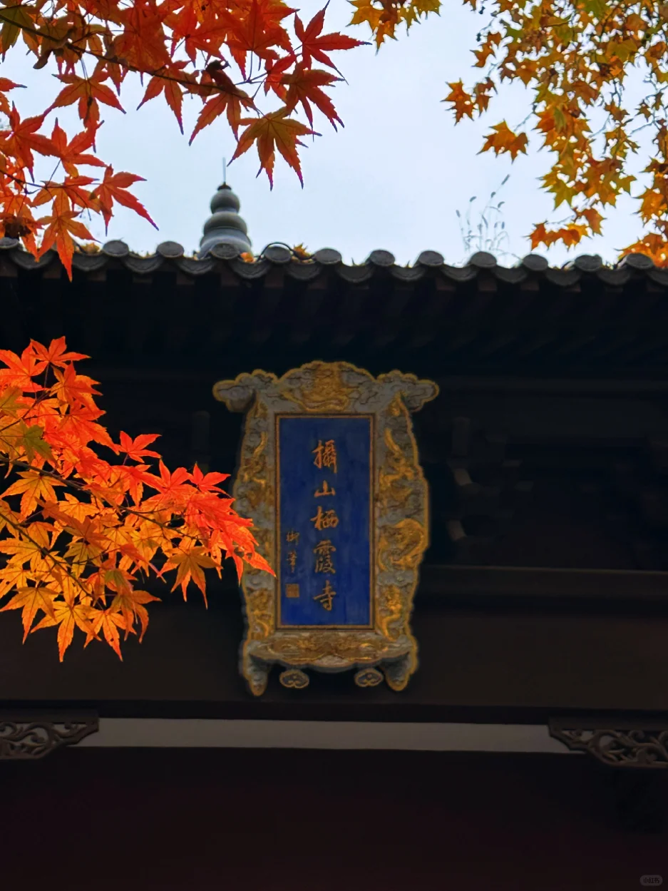 12.02南京栖霞山实况live（免票版）