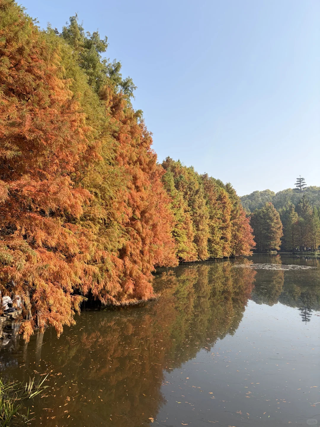 南京是去了2亿人吗