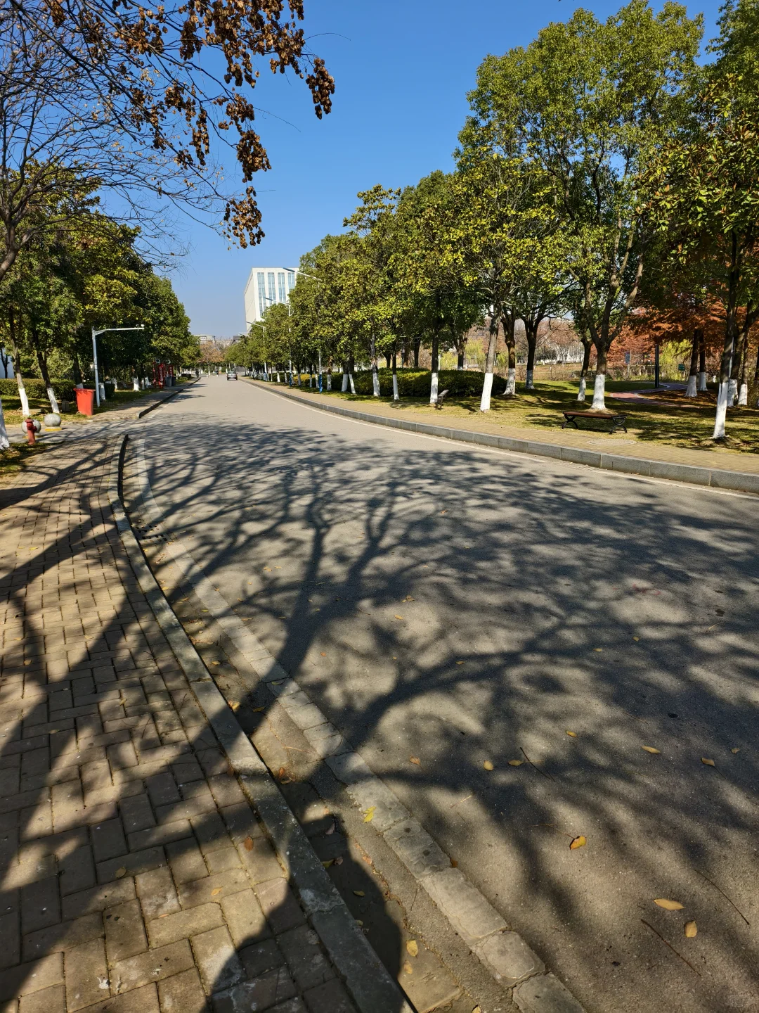 漫漫 慢慢 随便记记在南京的一天