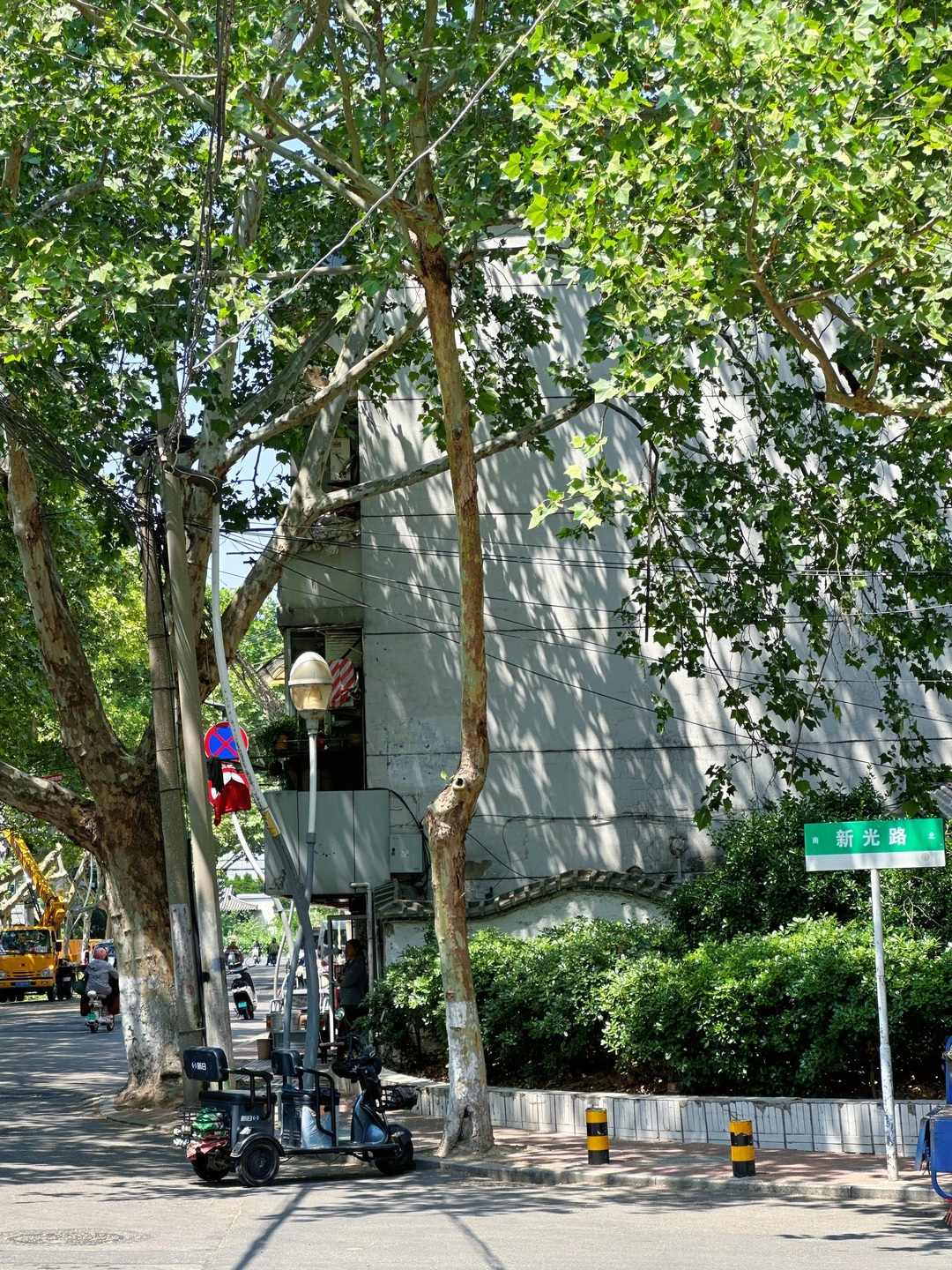 评论区说这是徐州最舒服的街道？