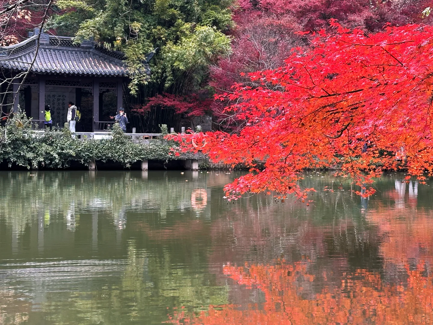 12.02南京栖霞山实况live（免票版）