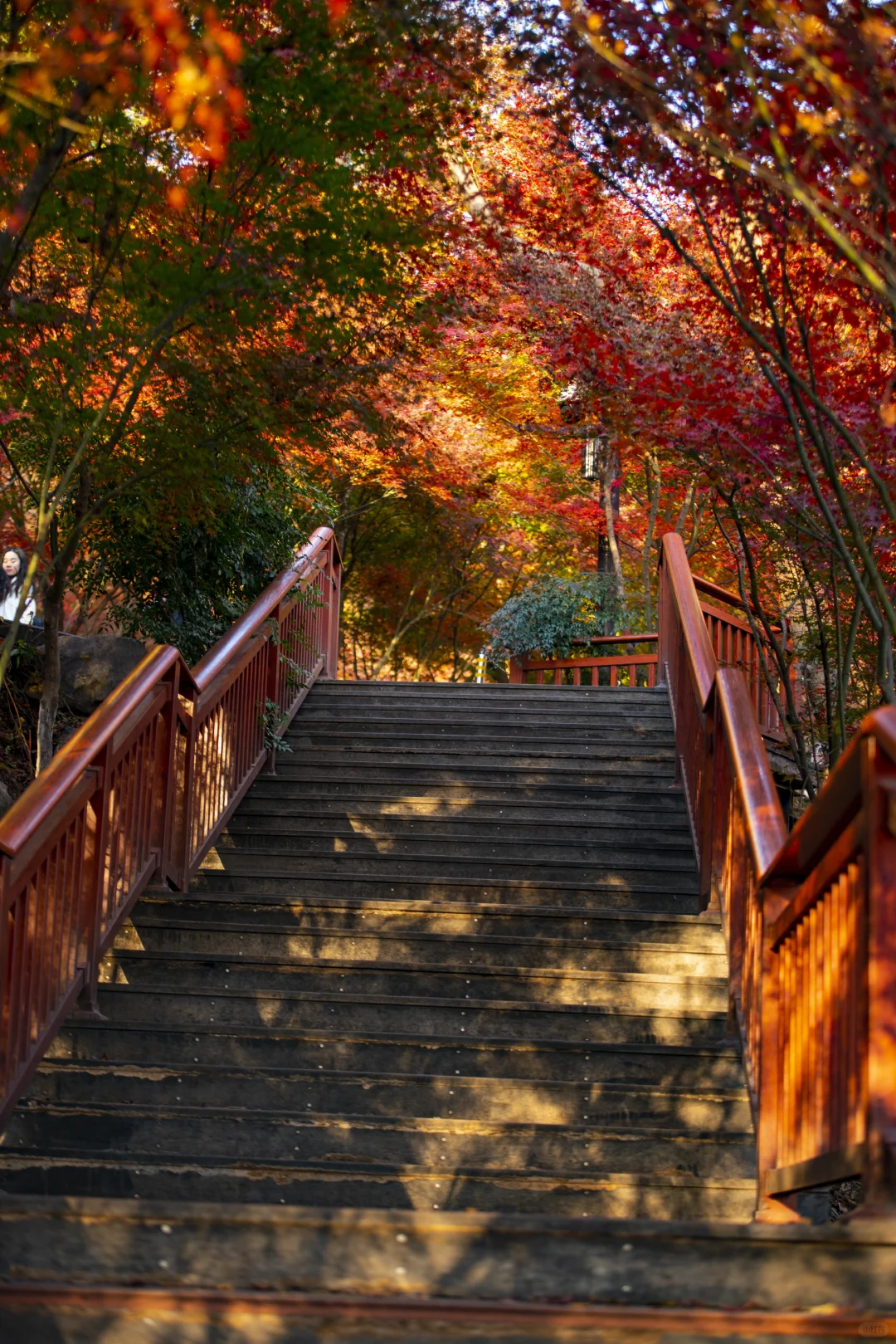 ❤️12.6实拍｜南京栖霞山赏枫进行时