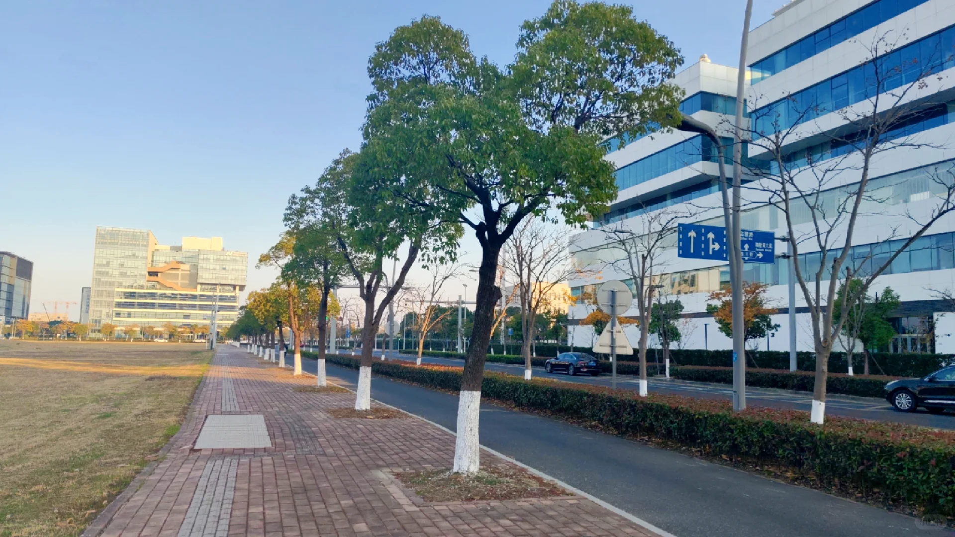 苏州纳米城最气派又帅气的厂；桐力光电