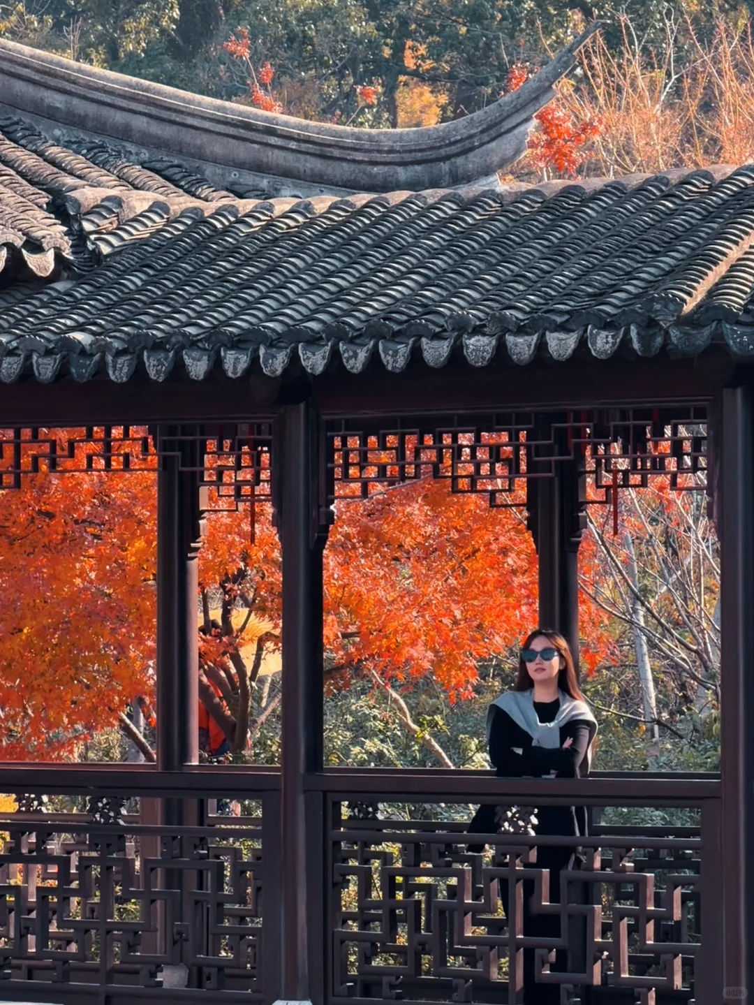 苏州|顶级秋色在虎丘