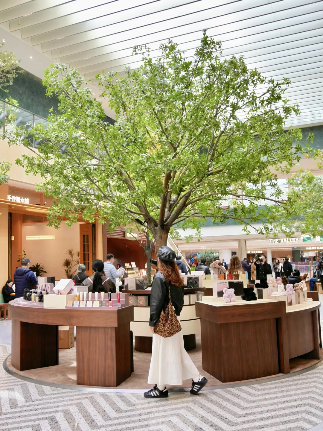 12.8实拍🍁苏州最新赏秋citywalk路线！！！！！