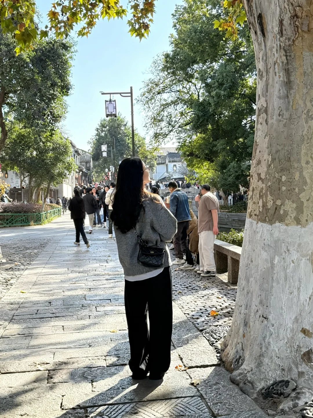 感受苏州的冬❄️