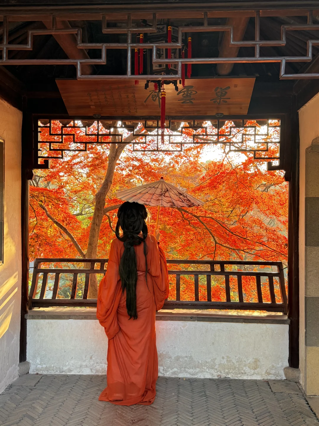 12.8实拍🍁苏州最新赏秋citywalk路线！！！！！