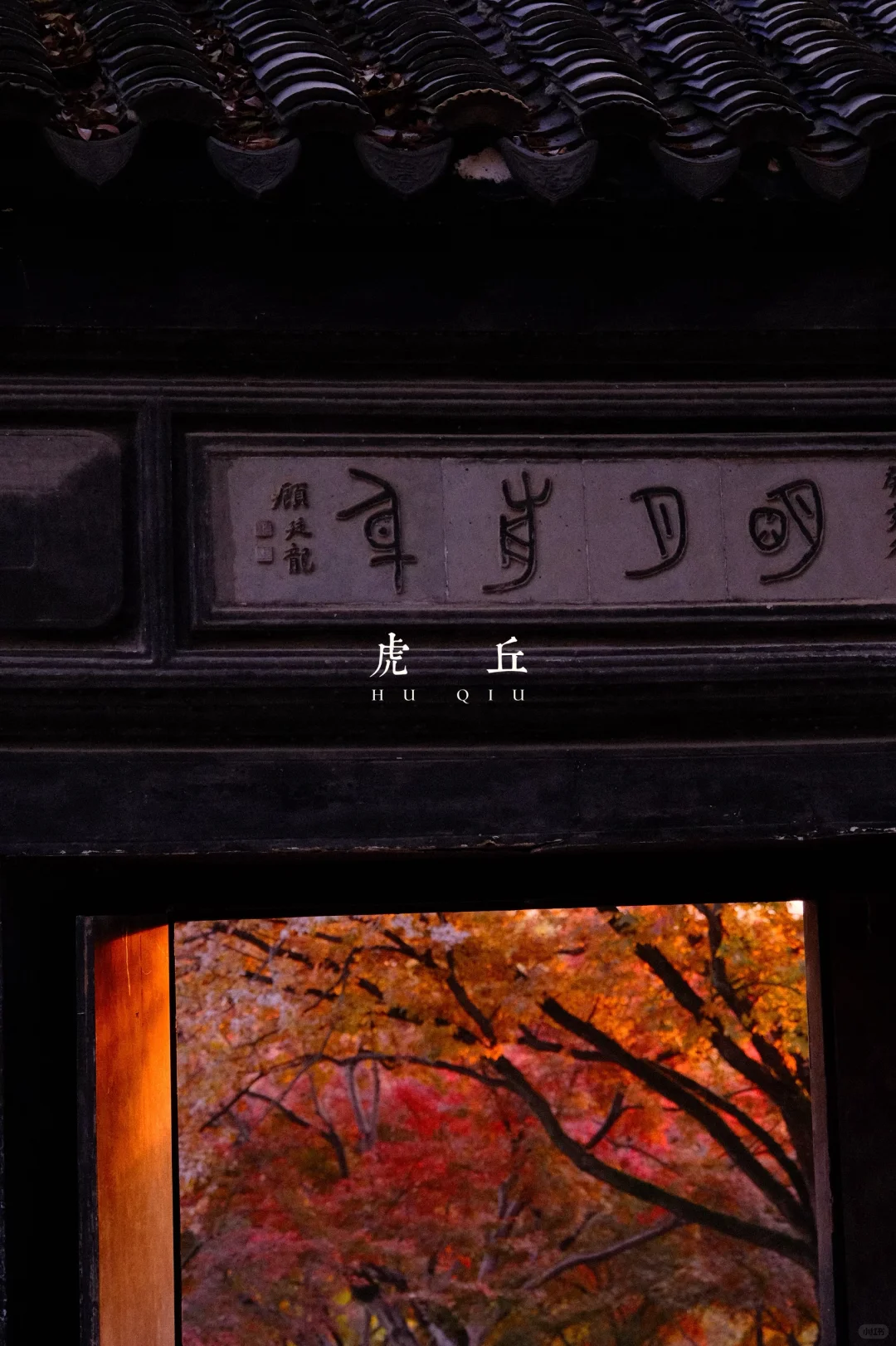 永远会被姑蘇的秋天惊艳！