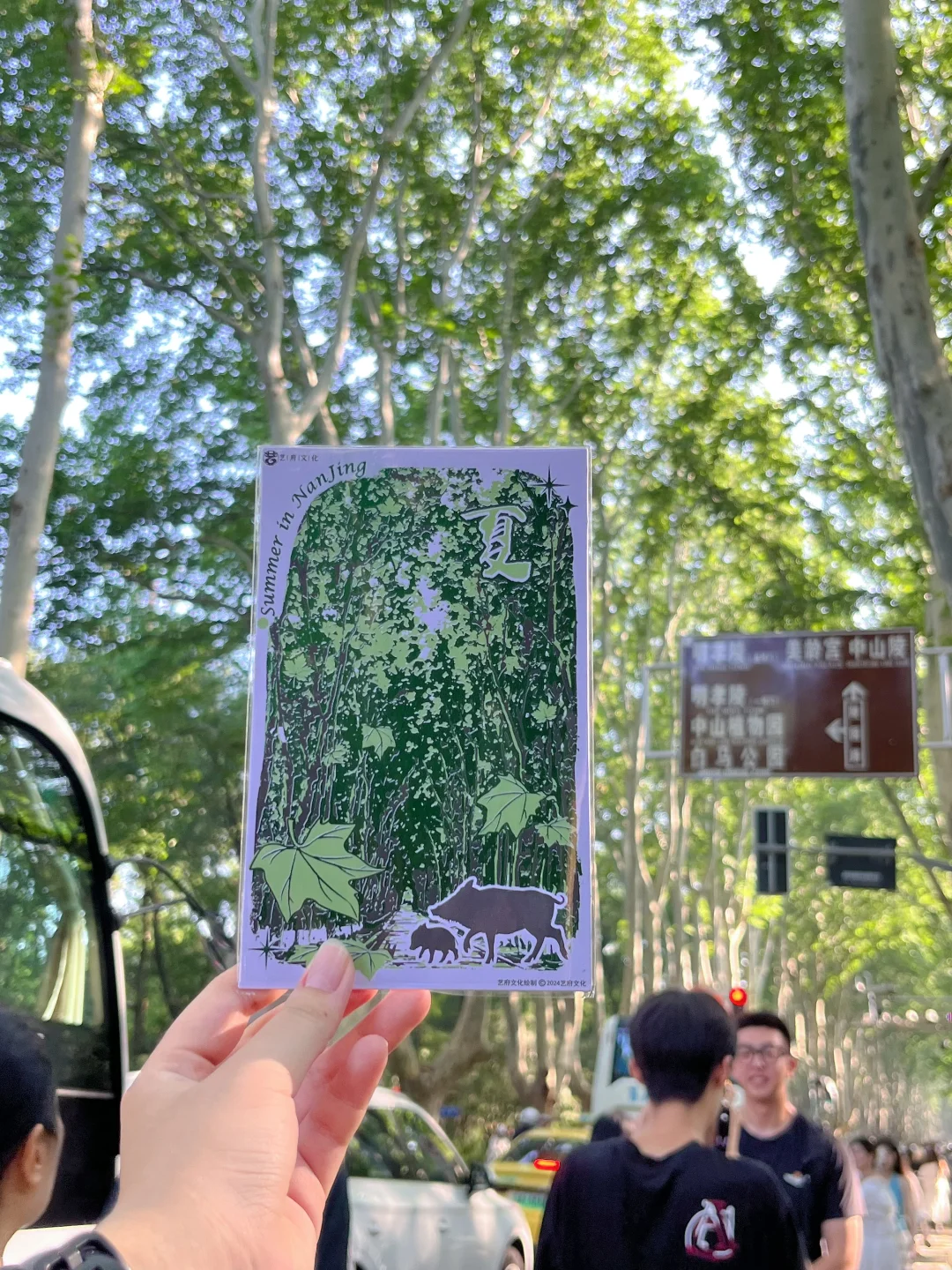 南京人的17岁夏天