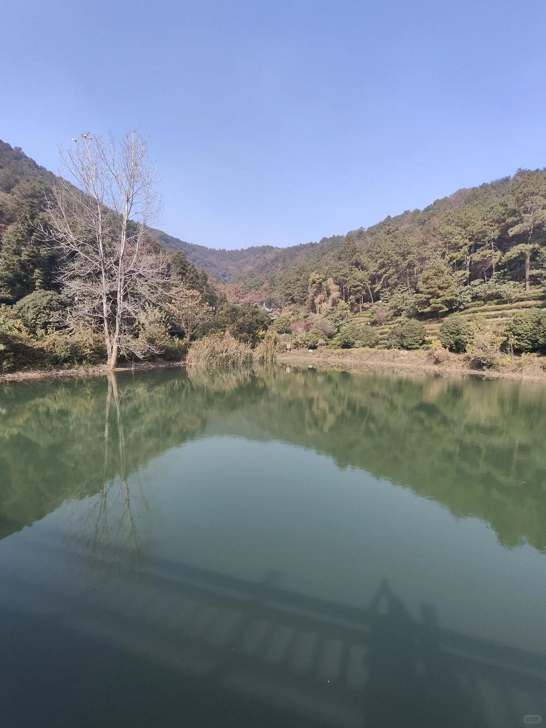 我在苏州的日子里