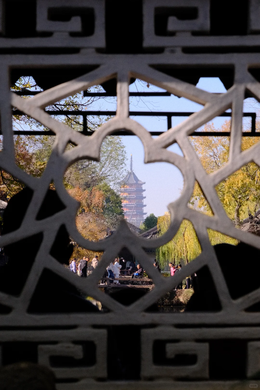 永远会被姑蘇的秋天惊艳！