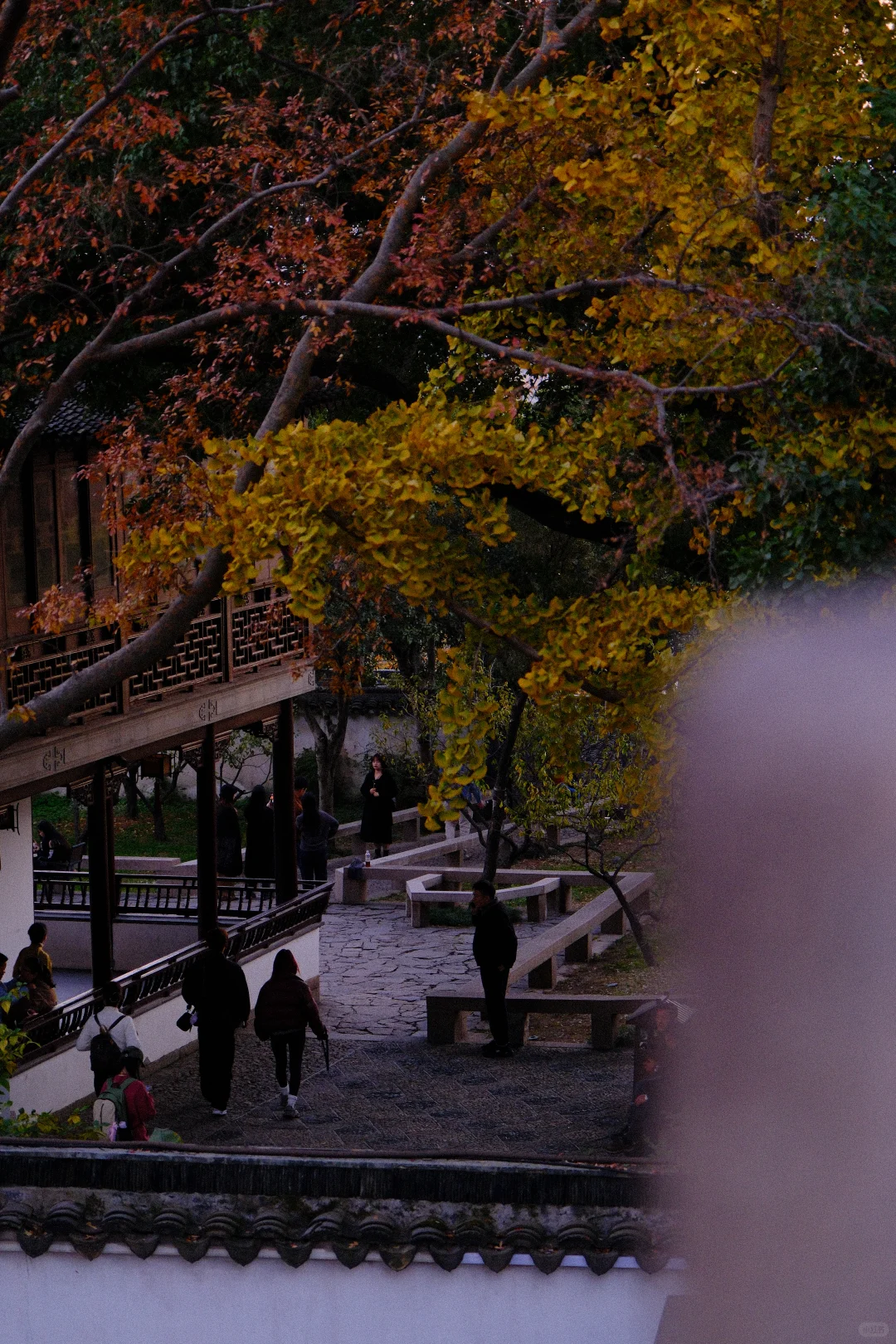 永远会被姑蘇的秋天惊艳！