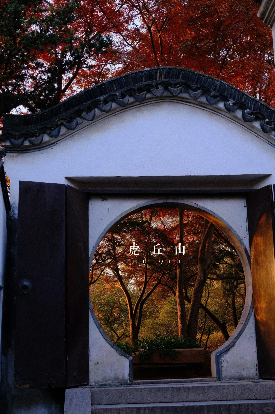 永远会被姑蘇的秋天惊艳！