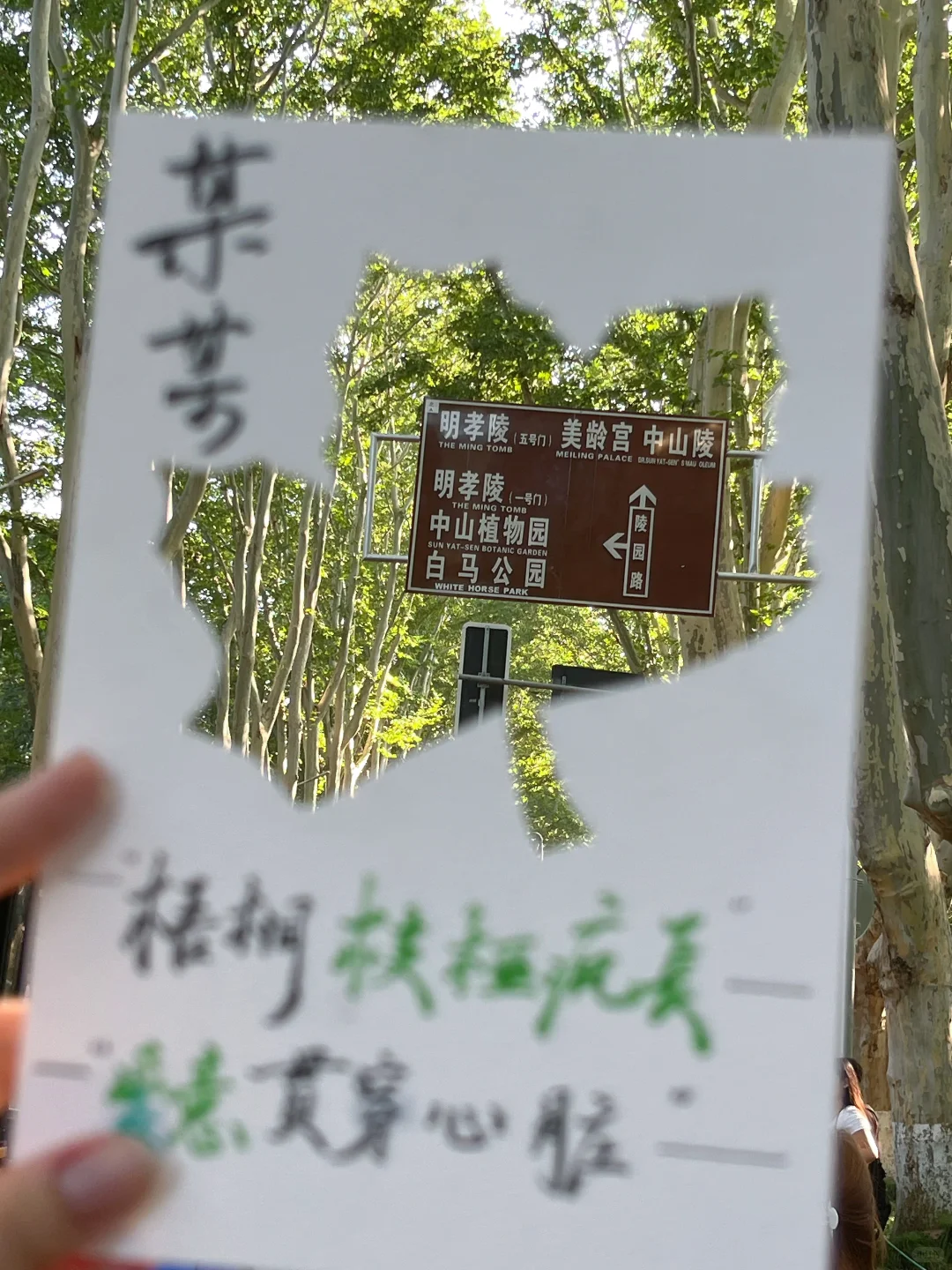 南京人的17岁夏天