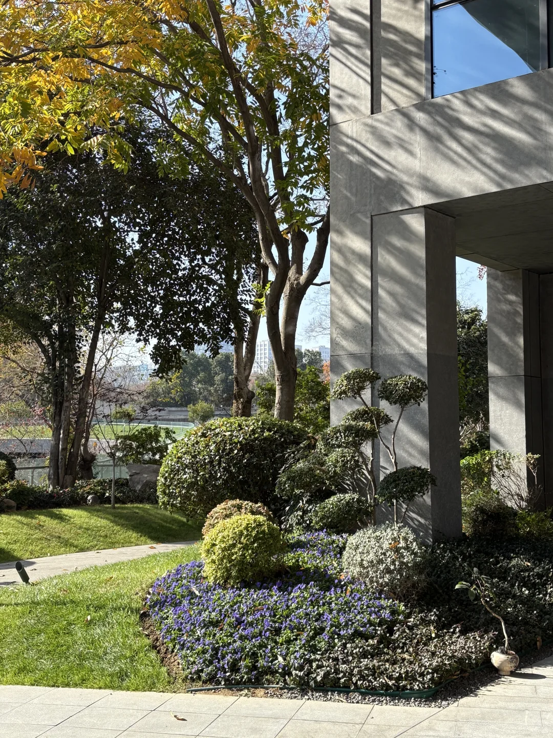 南京的秋天冷冷的🍂