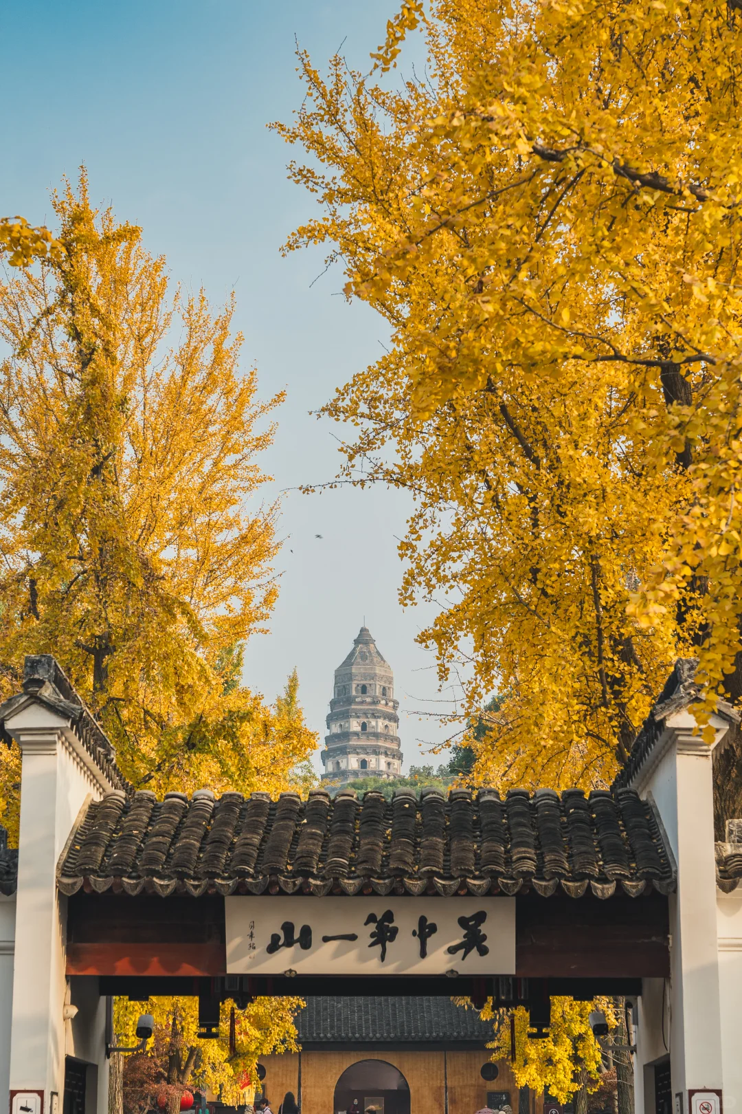 12.1 实况 再不来苏州赏银杏，就不用来了