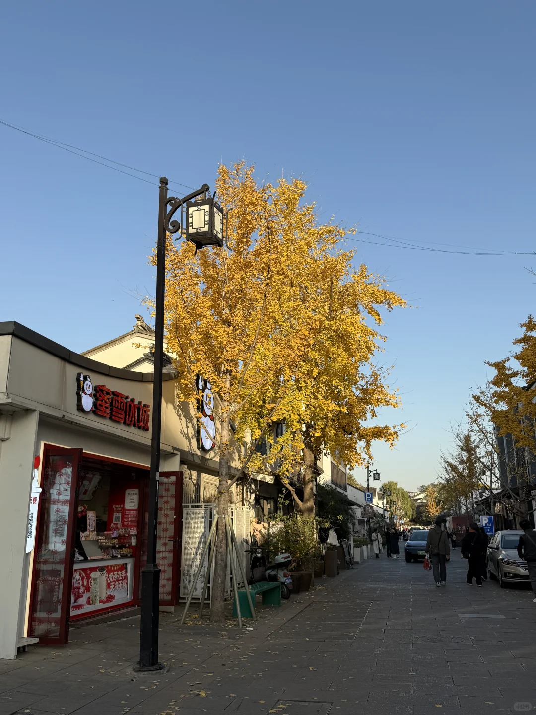 感受苏州的冬❄️