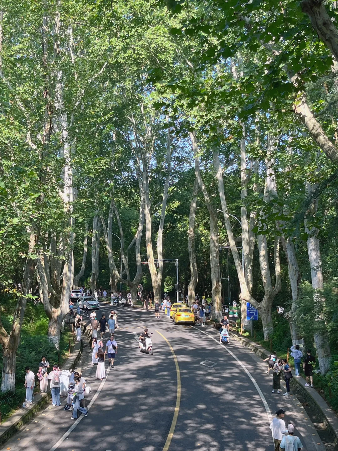 南京人的17岁夏天