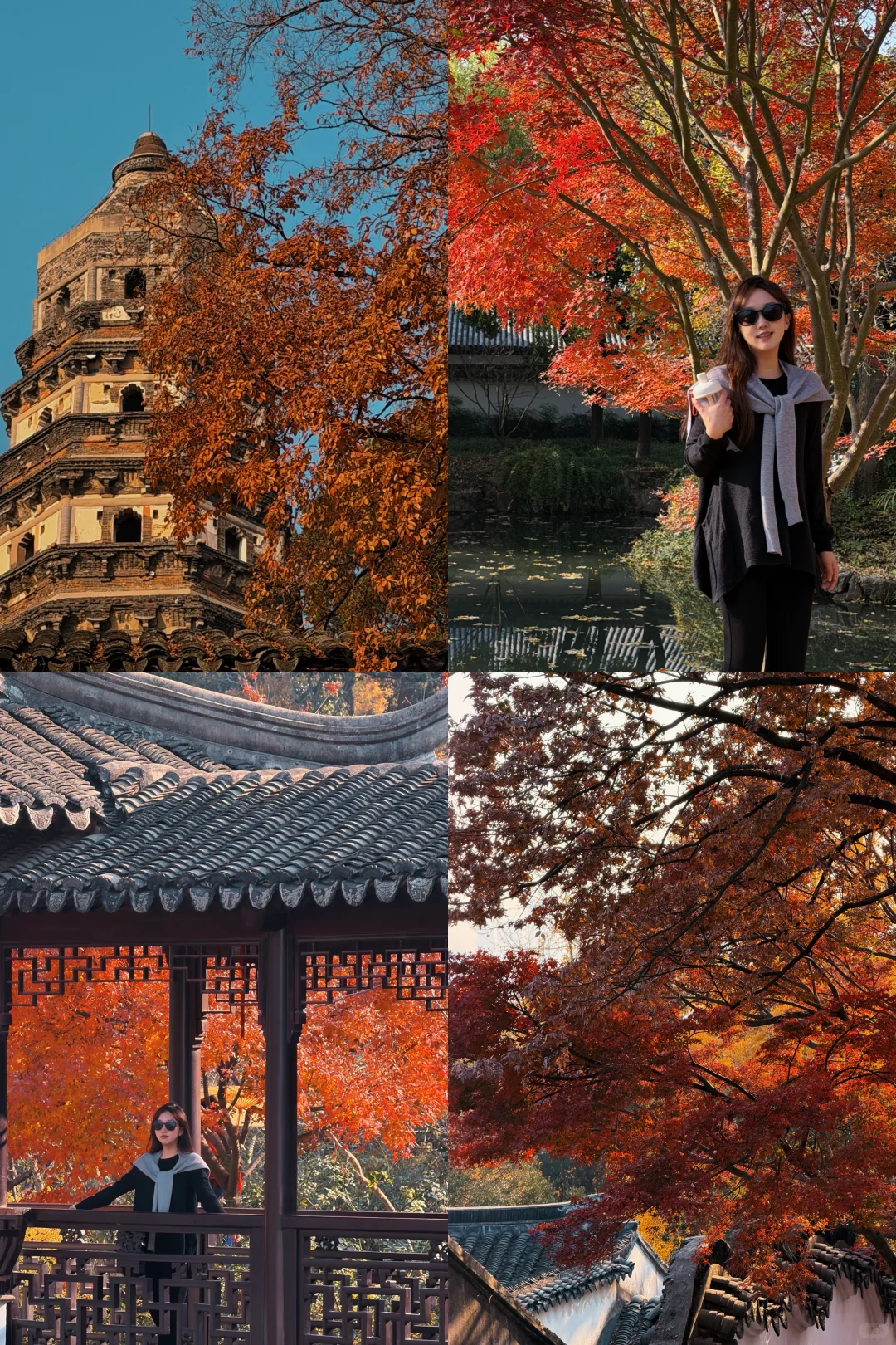 苏州|顶级秋色在虎丘