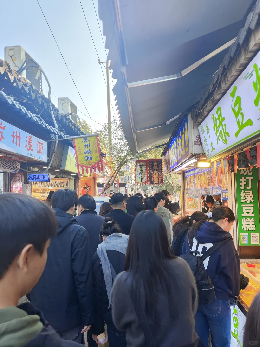 我在苏州的日子里