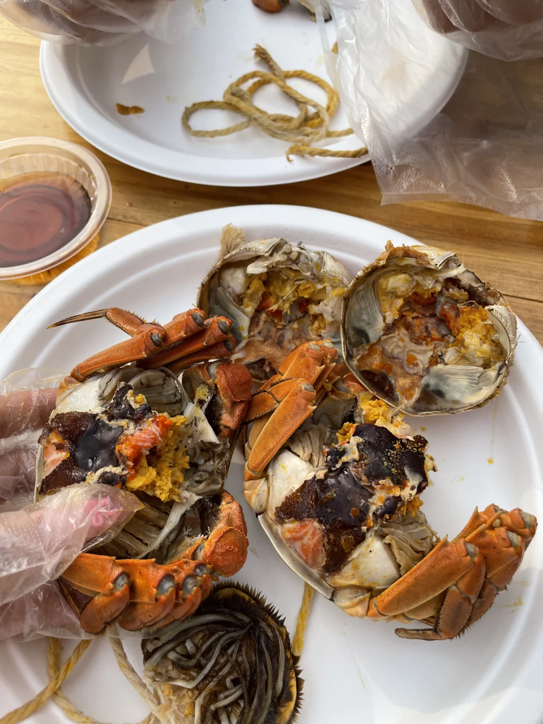 苏州｜三天两夜吃了啥🥢