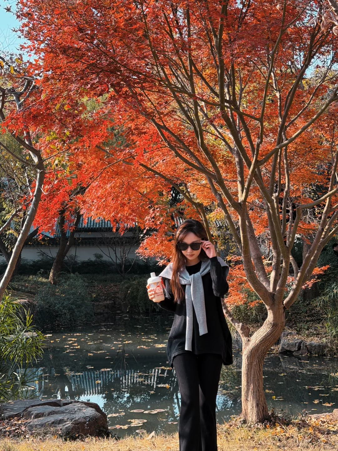 苏州|顶级秋色在虎丘