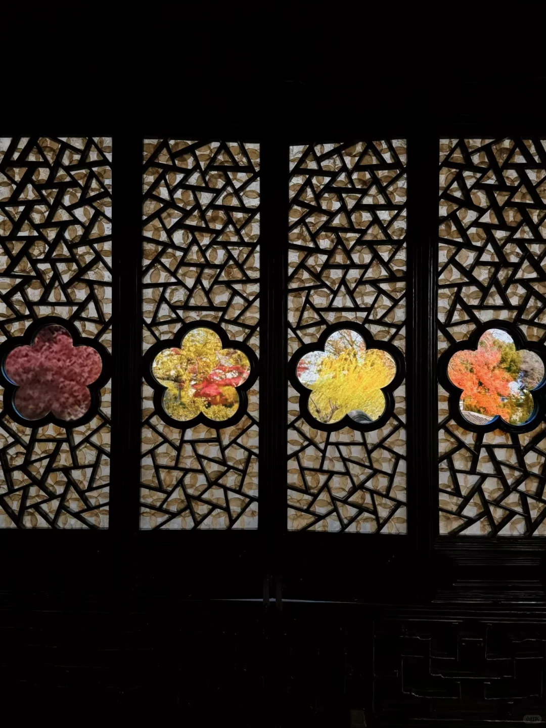 12🈷️实拍🍁秋天的苏州简直美疯了🍂