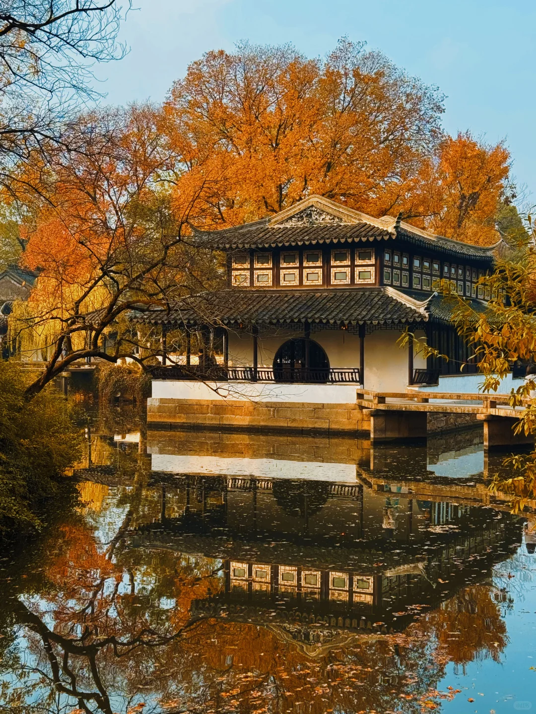 12🈷️实拍🍁秋天的苏州简直美疯了🍂